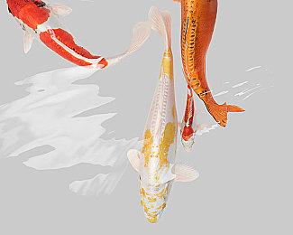 传Xbox未来不再有独占游戏 一切都会登陆PS